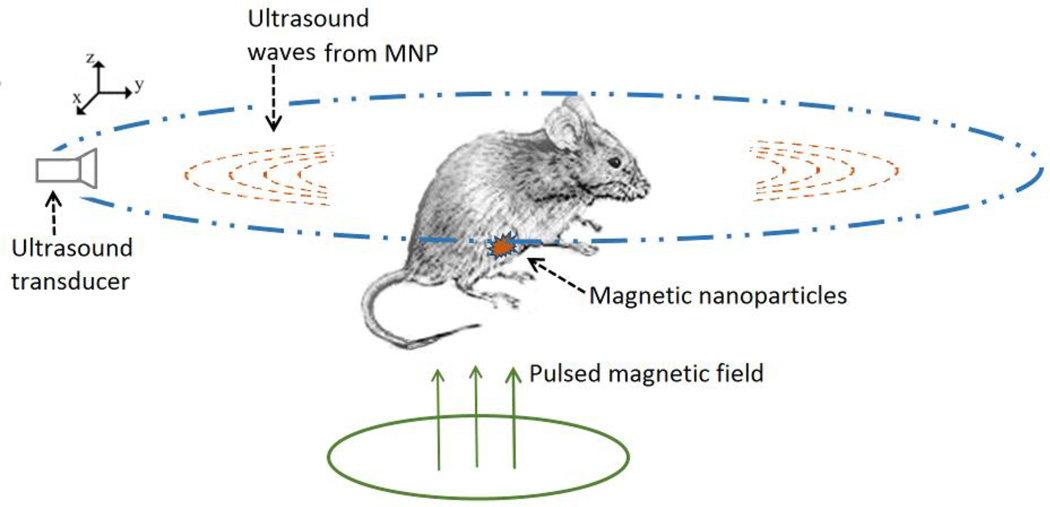 Fig 1