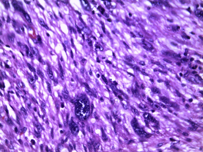 Figure 2