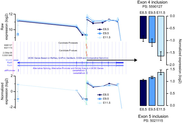 Figure 5