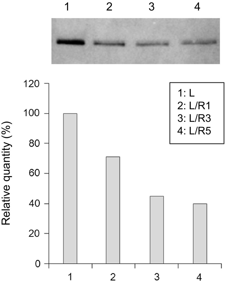 Fig. 3