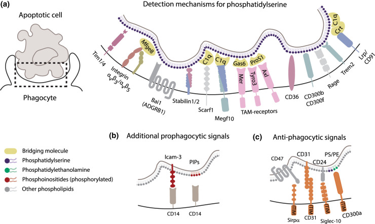 Figure 1.