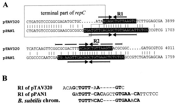 FIG. 6