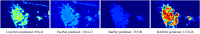 Fig. 10