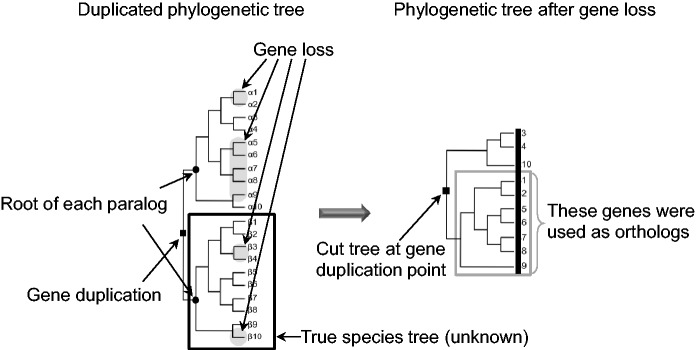 Fig. 3.—