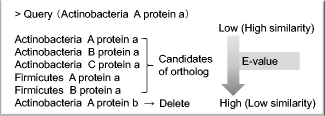 Fig. 2.—