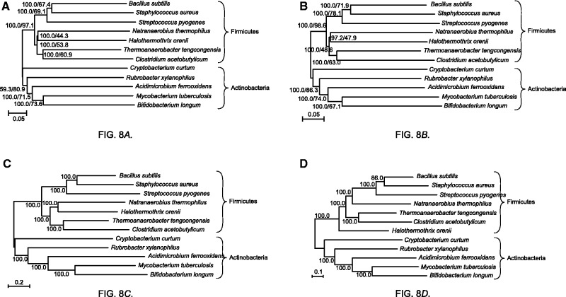 Fig. 8.—