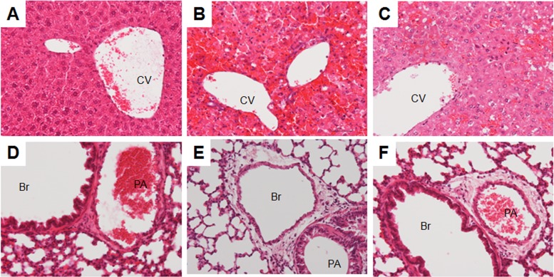 Fig 6