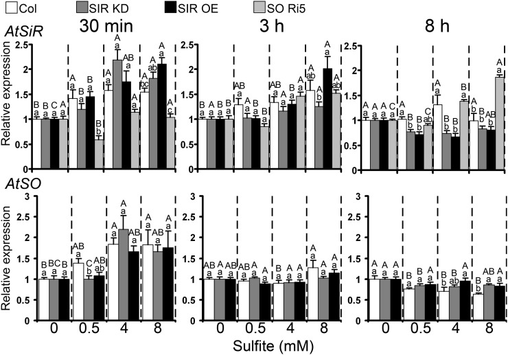 Figure 7.