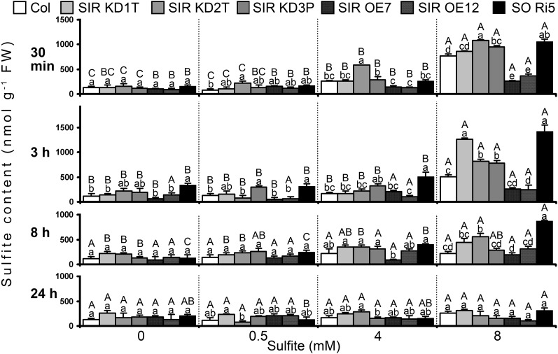 Figure 6.