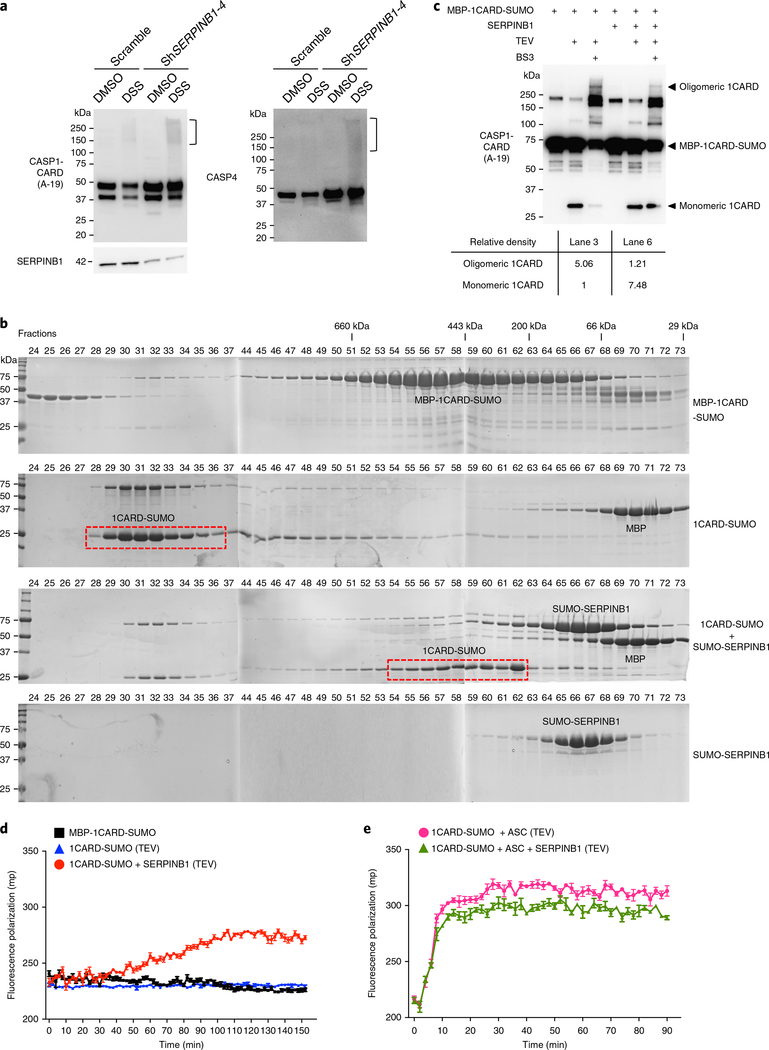 Fig. 7 |