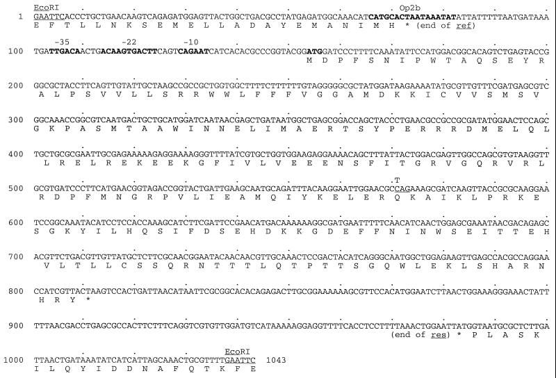 FIG. 1