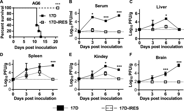 FIG 3