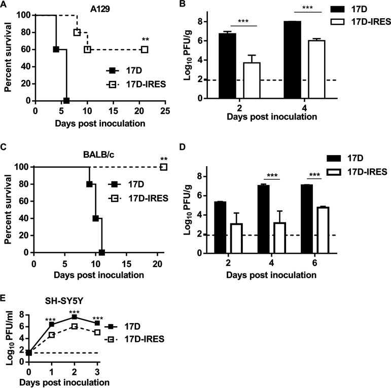 FIG 2