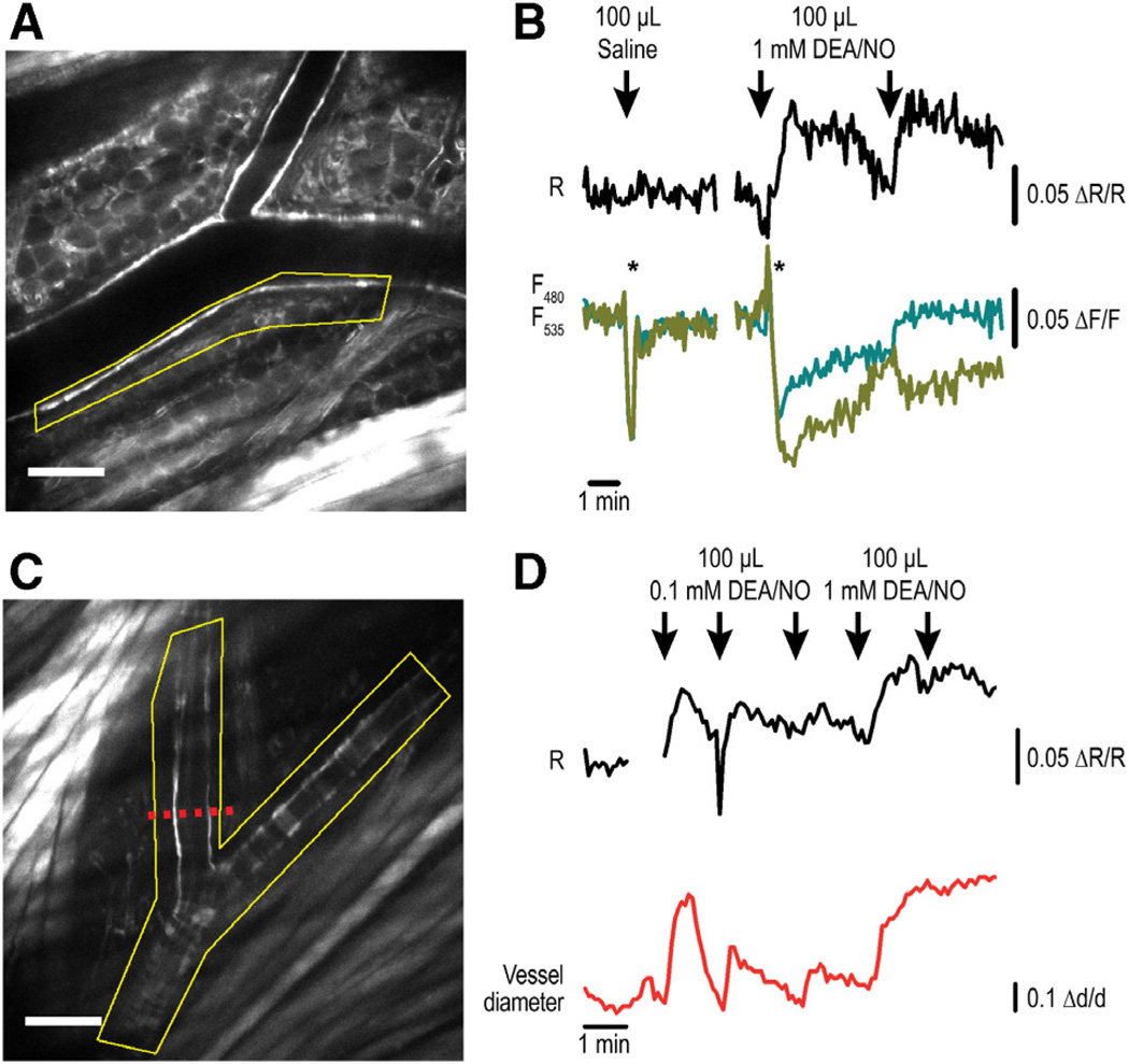 Figure 6