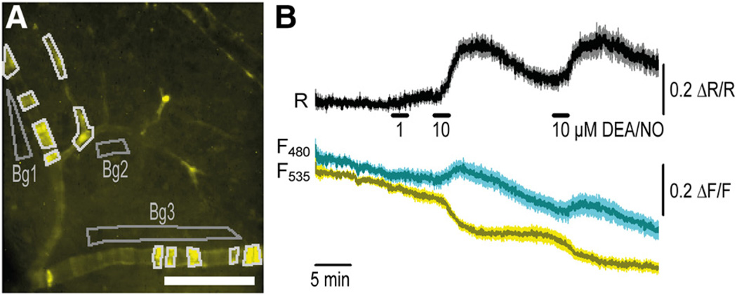 Figure 4