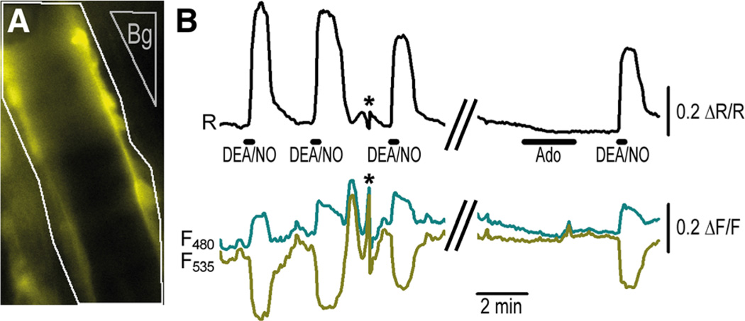 Figure 5