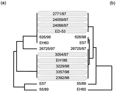 FIG. 6.