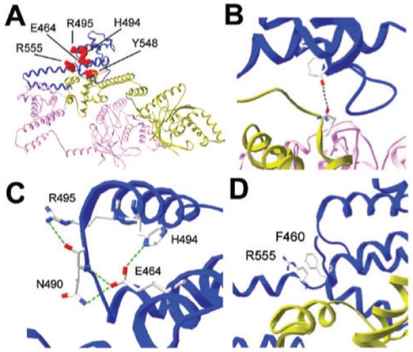 Fig. 8