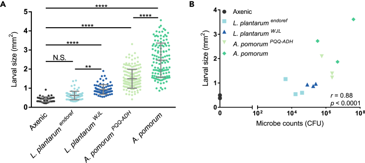 Figure 6