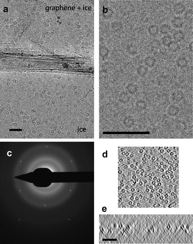 Fig.3