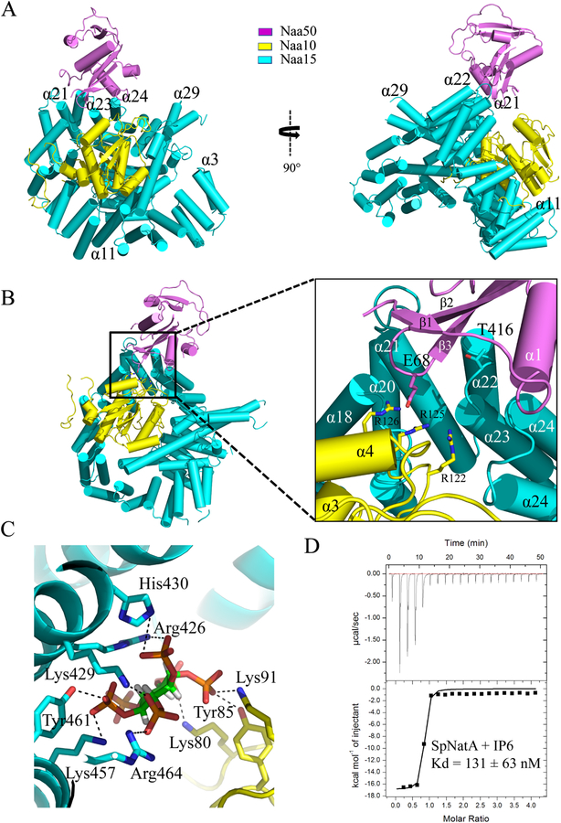 Figure 2.