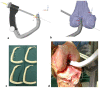 Fig. 3