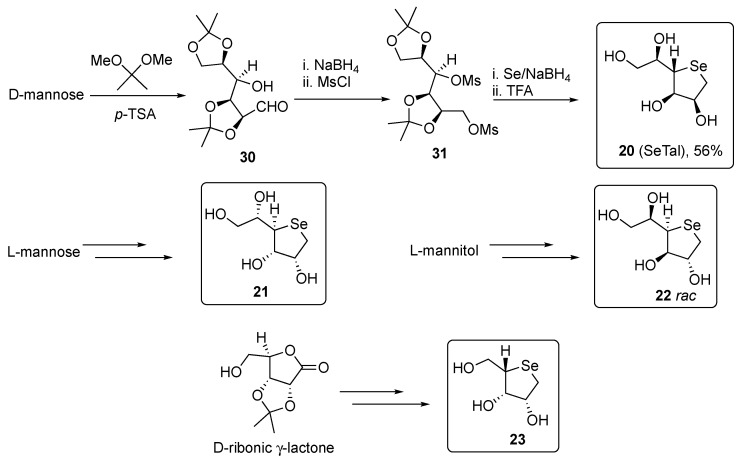 Scheme 6