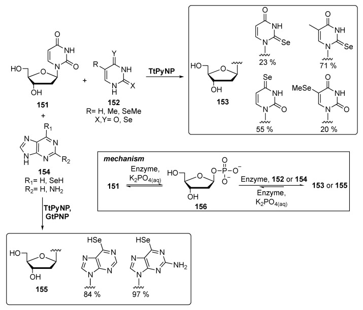 Scheme 26