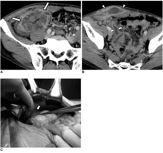 Fig. 9