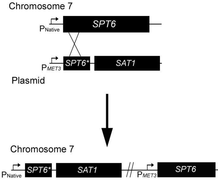 Fig.1