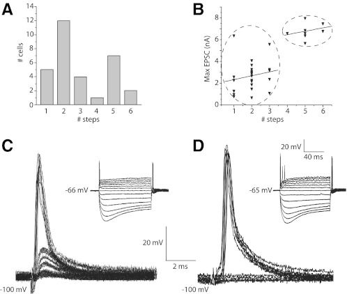 Fig. 4.