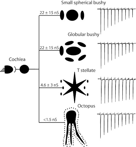 Fig. 9.