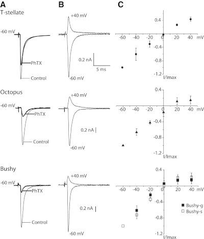 Fig. 7.