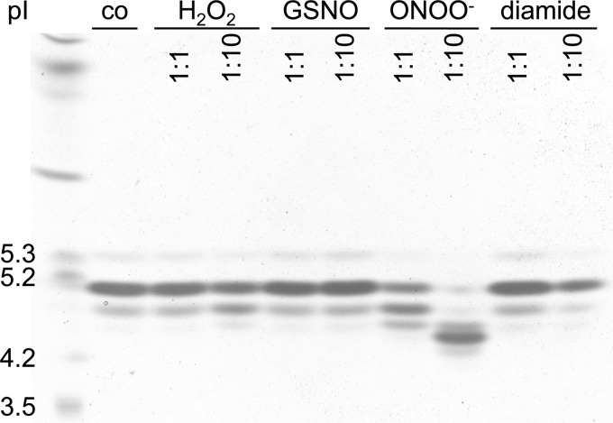 FIGURE 10.