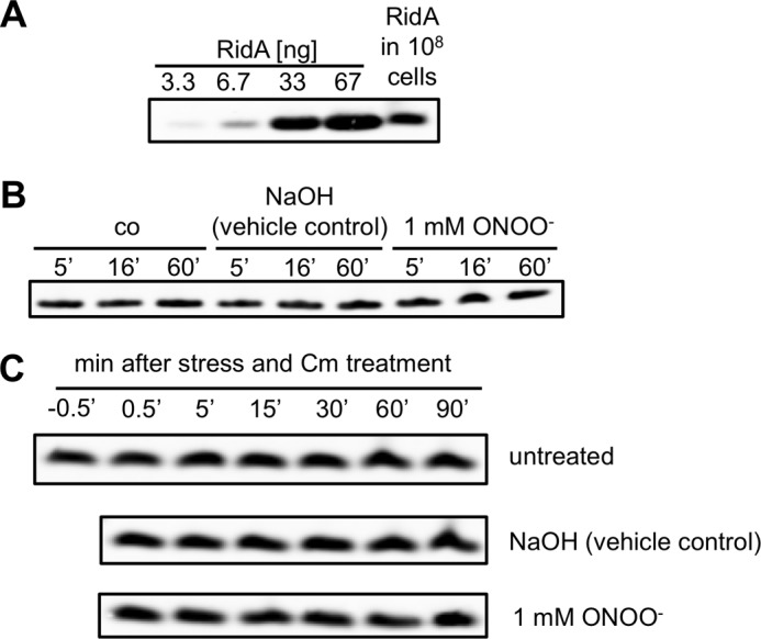 FIGURE 7.