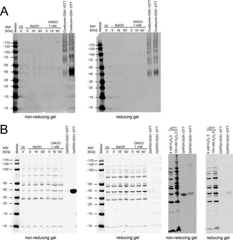 FIGURE 15.