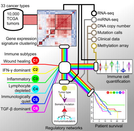 graphic file with name nihms958212u1.jpg