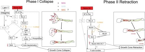 Figure 10.