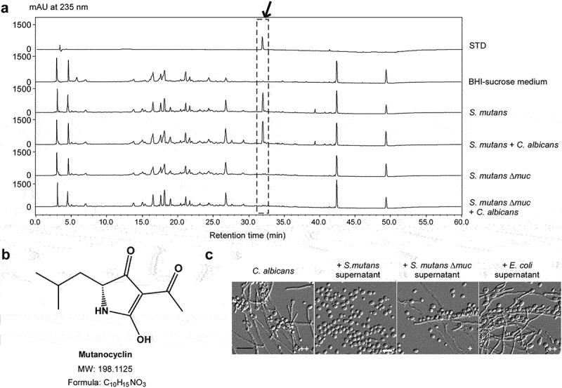 Figure 2.