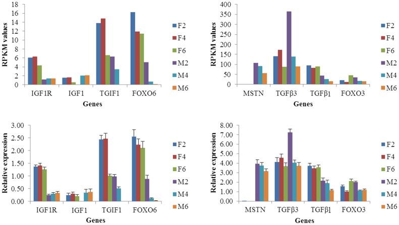 Figure 6