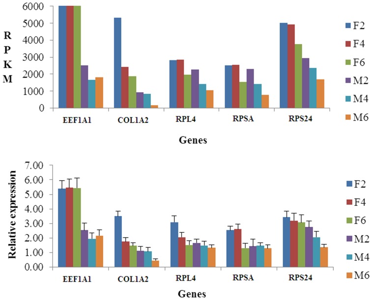 Figure 4