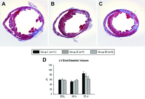 Fig 5