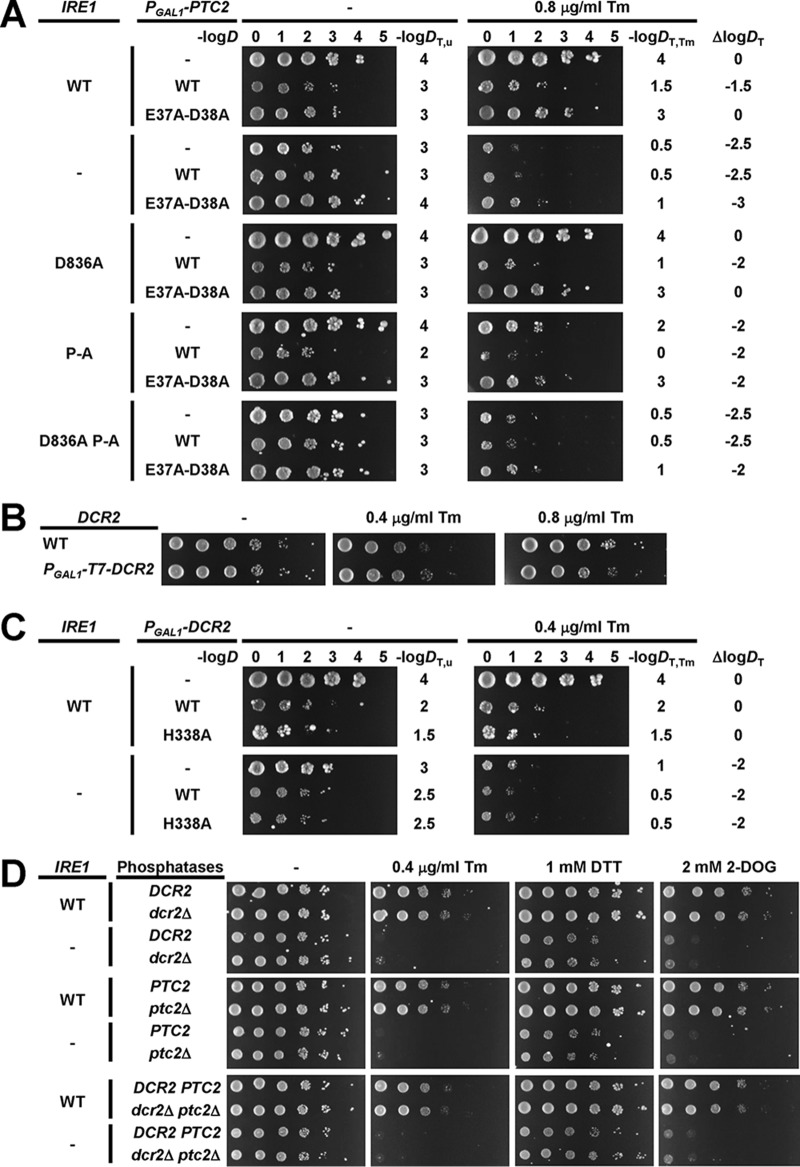 FIG 13