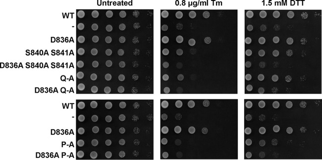 FIG 11