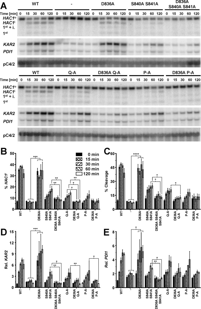 FIG 8