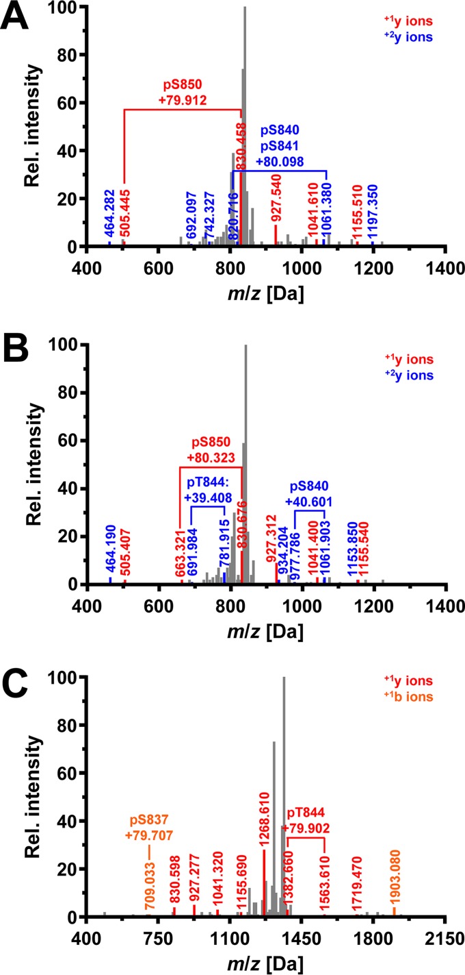 FIG 2