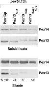 FIG. 5.
