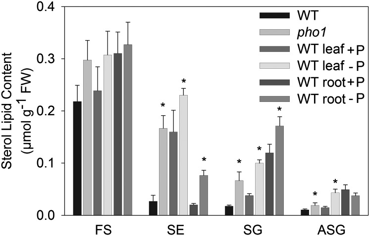 Fig. 8.