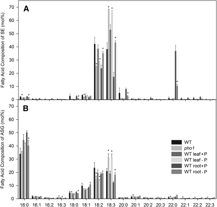 Fig. 10.