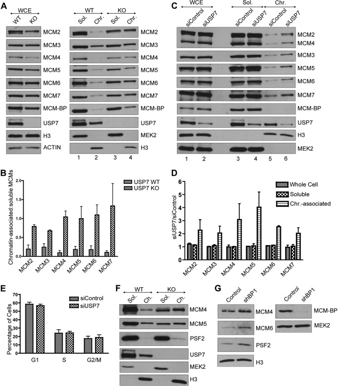 FIG 6